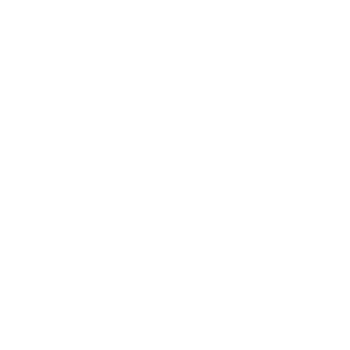 AMZG Resources